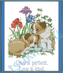 Love Is Patient