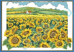 Sunflower Field