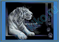 White tiger