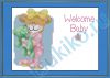 Baby 'Toons - Bear Birth Record